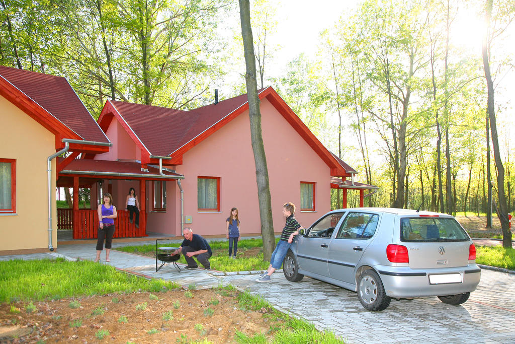 Sarkany Apartman, Sarkany Wellness Es Gyogyfuerdo Nyirbator Exterior photo